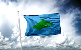 Göktürk ile ilgili görsel sonucu