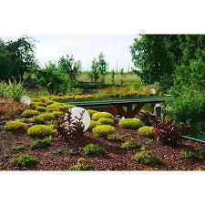 Zum richtigen anwenden gehört übrigens auch, dass der rindenmulch direkt auf den boden gegeben wird. Rindenmulch Kiefer Rinde Garten Grob 20 60mm 70l Sack Kaufen Bei Hood De