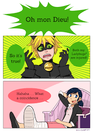 And Chat Noir Likes Marinette And Not Ladybug Tumblr Miraculous Ladybug Funny Miraculous Ladybug Memes Miraculous Ladybug Comic