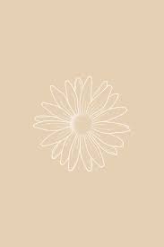 Check out this fantastic collection of beige aesthetic desktop wallpapers popular wallpapers ▾. Daisy Illustration Floral Illustrations Iphone Background Wallpaper Floral Drawing