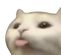 images?q=tbn:ANd9GcQDXRCR0juGp0xvQDXnmWgIAp_AVkkwA24gBmCyzE9IYw&s