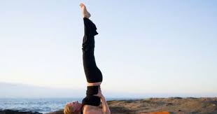 10 Reasons To Practice Shoulderstand Every Day Basic Yoga Poses Basic Yoga Yoga Poses
