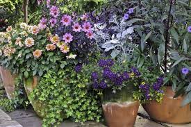 Scopri ricette, idee per la casa, consigli di stile e altre idee da provare. Giardinaggio Tutto Quello Che C E Da Sapere Sui Vasi Guida Giardino