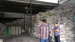 Mahkamah agung 22 tahun 2004. Pasokan Modal Rendah Penggilingan Padi Lesu Balipost Com