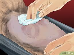 We did not find results for: 3 Ways To Identify Lumps On Your Cat Wikihow