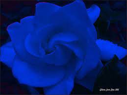 Blue Gardenia Gardenia Plant Dollar Tree Crafts Fall Crafts
