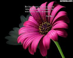 Not everything, but i love the good as well as the bad. Christian Quotes About Flowers Quotesgram