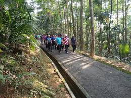 Taman rimba alam straddled on precincts 14 and 15 on the eastern section of putrajaya, the park is bordered by the diplomatic enclave and the taman rimba alam is conceptualised showcase of urban forestry combining a sustainable tropical forest ecosystem with a metropolitan recreational park. Program Berjalan Kaki Bersama Perbadanan Putrajaya Facebook