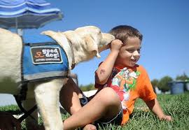 Check spelling or type a new query. The Curious Case Of Autism Service Dogs Life Changing Impacts Of Animal Therapy Autism 360