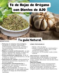 Por✍️Tu Guía Natural El té de hojas de orégano con dientes de ajo es una  potente infusión medicinal que combina propiedades antimicrobianas,  antiinflamatorias y antioxidantes, lo que la convierte en un remedio