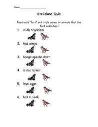 Stellaluna Quiz Stellaluna Comprehension Practice Quiz