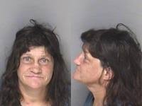 Deborah Willard Larceny