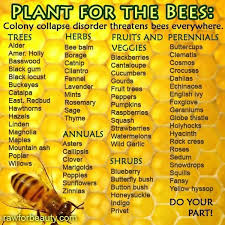 Maybe you would like to learn more about one of these? Prevent Colony Collapse Disorder Let S Plant For The Bees Waking Times Bee Keeping Bee Bee Friendly