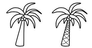 how to draw palm trees desenho palmeira arvore desenho coqueiro desenho palm trees drawings draw