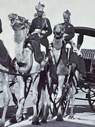 The Camel Carriage of the Lieutenant ...