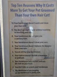 Avail of our #coolcutsfriendlyfun haircut experience for the whole family in the comfort of your own. Groomer Gets Tired Of People Asking Why Their Services Cost More Than A Hairdresser Puts Hilarious Poster For Customers Bored Panda