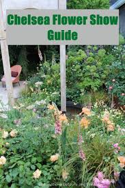 Chelsea Flower Show Guide Chelsea Flower Flower Show Chelsea Garden