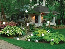 On The Cover Of Issue 127 Finegardening Front Yard Garden Shade Plants Shade Garden