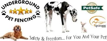 Things to do near phuket butterfly garden & insect world. 25 Best Pet Service Near Minooka Illinois Facebook Last Updated Nov 2020