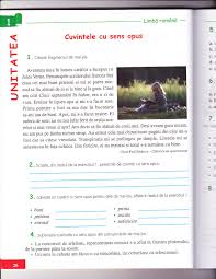 Sora mea cinta ''incet'' dar fratele meu canta ''tare''. Aux Lb Romana Cls 3 Comper Pdf Pdf Txt