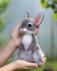 Na Dannom Izobrazhenii Mozhet Nahoditsya Tekst Animals Character Design Critter