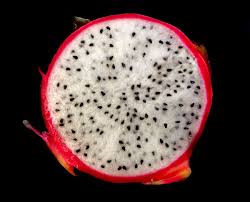 Dragon fruit scientific name hylocereus undatus.sou. Dragon Fruita2 Free Stock Photos Rgbstock Free Stock Images Tacluda March 22 2018 0