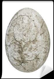 Check spelling or type a new query. Download Realistic Dinosaur Egg Clipart Png Image With No Background Pngkey Com