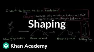 The process works by interuptting a person while having disruptive cognitive behavior modification involves changing one's thinking in order to change behavioral problems. Disruptive Behaviour In Schools Psych Tutor
