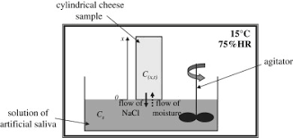 In some cases you can use soup up instead a verb diffusing. Reducing Salt Level In Food Part 2 Modelling Salt Diffusion In Model Cheese Systems With Regards To Their Composition Sciencedirect