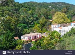 The process of the renature monchique project is to engage landowners needing support for the restoration of their land through the planting of endemic species (plate 4). Serra De Monchique Algarve Portugal Stock Photo Alamy