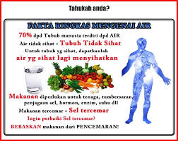 Berikut dikongsi kebaikan minum air sejuk dan waktu yang tepat untuk anda mengambilnya agar bermanfaat pada kesihatan tubuh. 4 Tahun Minum Air Paip Mommy Shahab