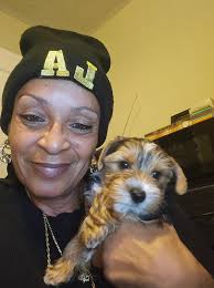 Lost Dog: Trigger Holloway in Riverdale, GA 30349