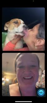 ✔️✔️WE GOT THOR!!✔️✔️ I have seen and learned over the last 2 years  capturing with dogs “on the run” , is once they are in that survival mode ,  more times than