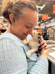 Just rescued little kitten in the rain from a field tal madonna few weeks  old we are looking for a loving home for this cutie🥰 cant keep it myself  cause i have