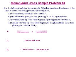 What is the genotype of a 'homozygous yellow. Mendelian Genetics Inheritance Lecture Notes Biol 100 K