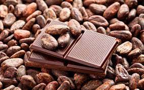 Cocoa Butter Alternatives In Chocolate