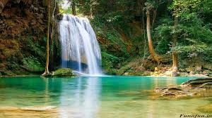 1513 images at all at 138 pages. Full Hd Pc Wallpapers Nature Wallpaper Cave