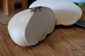 Sengkuang synonyms, sengkuang pronunciation, sengkuang translation, english dictionary definition of sengkuang. Pancai ç›˜èœ Meet The Chinese Cousin Of The European Turnip Carry It Like Harry