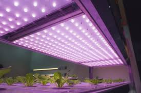 We did not find results for: Best Led Grow Lights 2021 300w 450w 600w 1000w 1200w 1500w 2000w