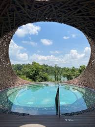 First look: Stunning views, luxury amenities & wildlife encounters aplenty  at Mandai Rainforest Resort by Banyan Tree - Mothership.SG - News from  Singapore, Asia and around the world