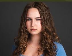 Performing Professional Artist Categories