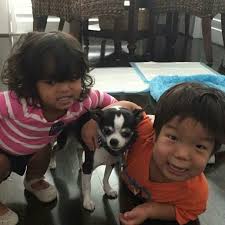 Pin On The Little Couple