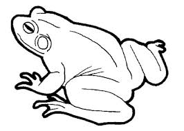Malvorlage Frosch Mit Krone 1ausmalbilder Com