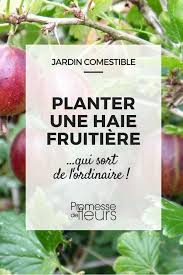 Planter Une Haie Fruitiere Qui Sort De L Ordinaire Arbre Fruitier Jardin Fruitier Jardinage Potager