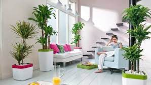 Tidak jarang kolam tebing relief ini juga difungsikan sebagai kolam ikan hias untuk menamping ikan hias jenis koi di dalam rumah. Bukan Sekedar Hiasan Ini Manfaat Meletakkan Tanaman Hias Di Dalam Rumah Times Indonesia