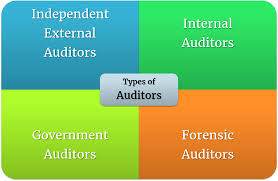 Types Of Auditors Auditor Type Definitions