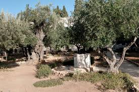 Hier Wandern Sie Auf Den Spuren Von Jesus Durch Israel In 2020 Garten Gethsemane Wandern See Genezareth