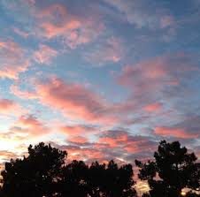 Download 167,065 background sunset stock illustrations, vectors & clipart for free or amazingly low rates! Pinterest Tbhjessica Ig Jessica Peters Pretty Sky Sky Aesthetic Sky Art