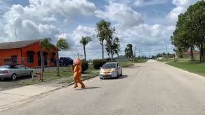Diy pest control have solutions for every possible pest, keeping your home infestation free all year long. Abc Pest Control Cape Coral Fort Myers Lee County Pest Control