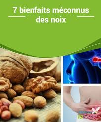 7 Bienfaits Meconnus Des Noix Ameliore Ta Sante Fruits Secs Bienfaits Bienfait Des Noix Nourriture Chien